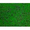 Follaje Artificial JUNGLE GREEN  por 1M² | MCHomes