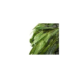 Rama Artificial Hojas De Sauce Verde | MCHomes ¡Decorando tu vida!