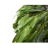 Rama Artificial Hojas De Sauce Verde | MCHomes ¡Decorando tu vida!
