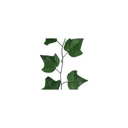 Enredadera Colgante DEVID verde | MCHomes ¡Decorando tu vida!