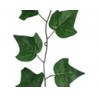 Enredadera Colgante DEVID verde | MCHomes ¡Decorando tu vida!