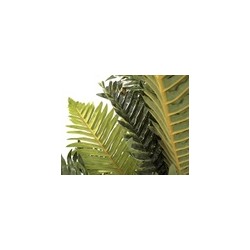 Palmera Artificial KIMI Verde 3 Troncos | MCHomes ¡Decorando tu vida!