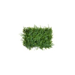 Follaje Artificial MALEZA VERDE | MCHomes ¡Decorando tu vida!