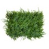 Follaje Artificial MALEZA VERDE | MCHomes ¡Decorando tu vida!