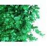 Follaje Artificial CABO F-022 | MCHomes ¡Decorando tu vida!