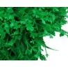 Follaje Artificial TREBOL F-021 | MCHomes ¡Decorando tu vida!