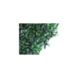 Follaje Artificial GREENWALL por 1M² | MCHomes