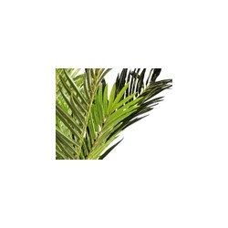 Palmera Artificial YITSU verde 3 troncos | MCHomes ¡Decorando tu vida!