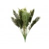 Planta artificial decorativa KWAI CONTAMINADO | MCHomes